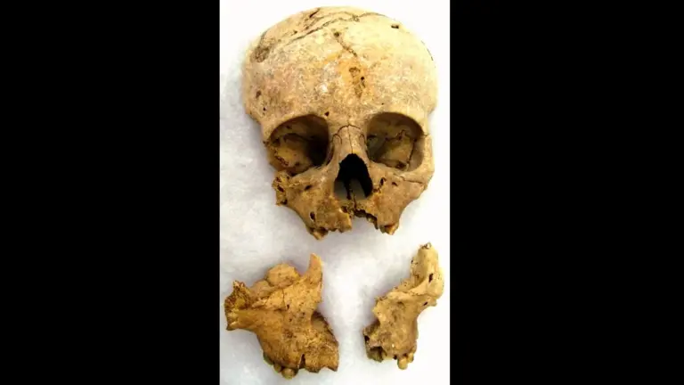 Fragmentos de niños presuntamente sacrificados en Chichén Itzá.