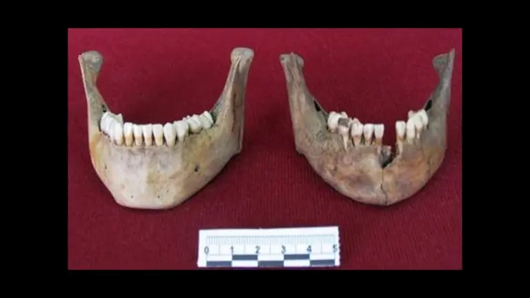 Piezas dentales halladas en Chultún, Chichén Itzá.