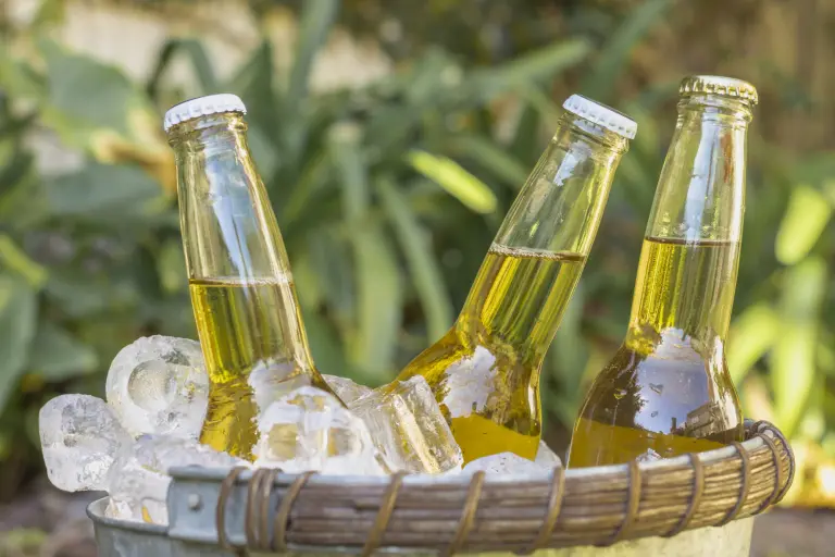 botellas de cerveza.