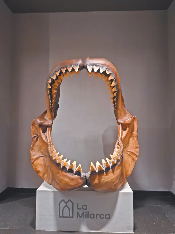 colección privada de arte