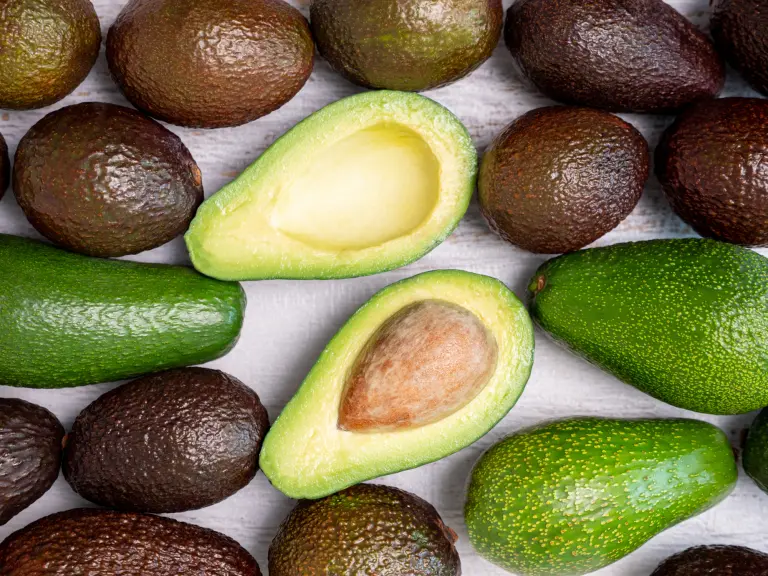 Aguacate