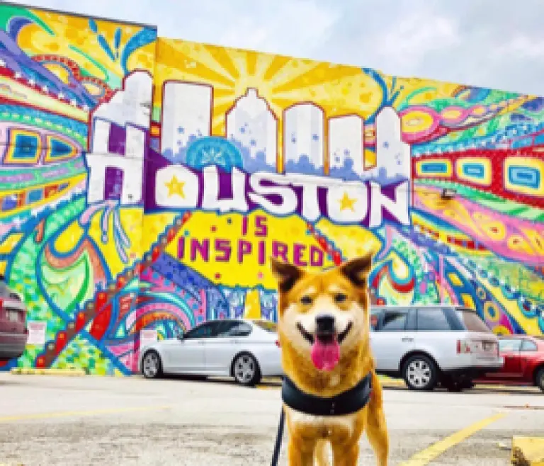 Murales de Houston.