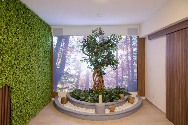 En la nueva sede de Bye Bye Friend en la Condesa se encuentra un árbol, donde realizan un ritual tanatológico que permite cerrar el ciclo con la mascota.