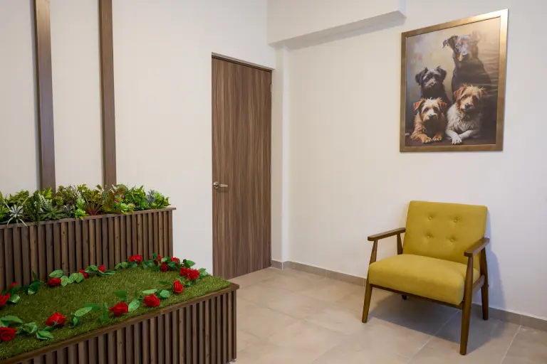 Una sala funeraria para mascotas en la sede Condesa.