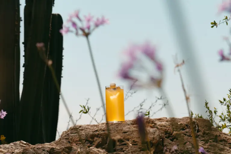 Coctelería y paisaje