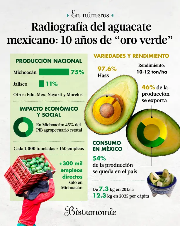 El aguacate duplicó su valor y volumen en la última década, posicionando a México como líder mundial.