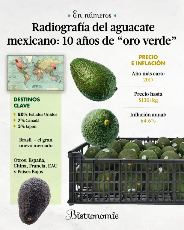 El aguacate duplicó su valor y volumen en la última década, posicionando a México como líder mundial.