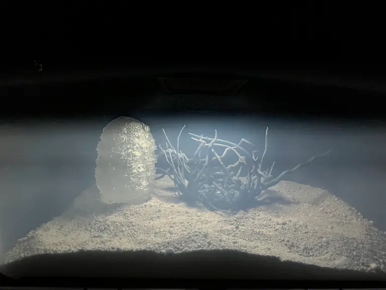 Exposición “Extra-Terrestre”.