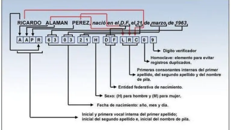 Elementos de la CURP.