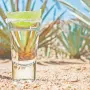 Tequila