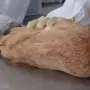 Brasil contuvo el brote de gripe aviar que lo obligó a suspender el mes pasado sus exportaciones de carne de pollo a China y otros países, anunció este miércoles el ministro de Agricultura.