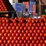 De acuerdo con GCMA, los hogares pagan 3.26 veces más de lo que recibe un productor, principalmente por presiones en la parte de la comercialización previa al consumidor final.

Para más información del tema, visita: https://www.eleconomista.com.mx/finanzaspersonales/jitomate-subio-100-precio-100-pesos-kilo-supermercados-20260417-809151.html

¡Síguenos en nuestras redes sociales para mantenerte informado!

Twitter: https://twitter.com/eleconomista 
Facebook: https://www.facebook.com/ElEconomista.mx
Instagram: https://www.instagram.com/eleconomistamx
LinkedIn: https://www.linkedin.com/company/el-economista/

#ElEconomista #Jitomate #Inflación
