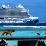 Un hombre pasea por el embarcadero de Mahahual en presencia de un crucero turístico. ArteAzul