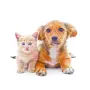 Cuidado integral de cachorros